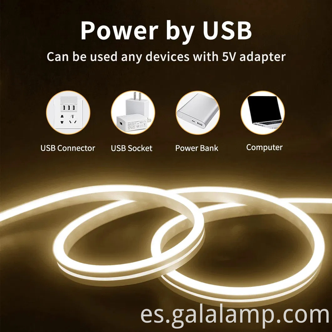 Luces de tiras de neón de silicona flexibles IP67 coloridas para la decoración del hogar y el jardín